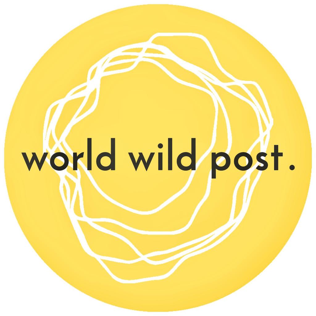 world wild post servizi per aziende casalmaggiore